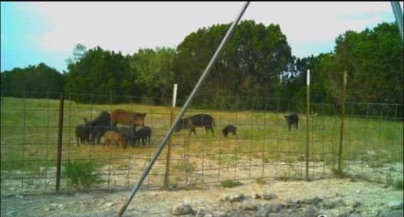 Horsethief Cove Ranch