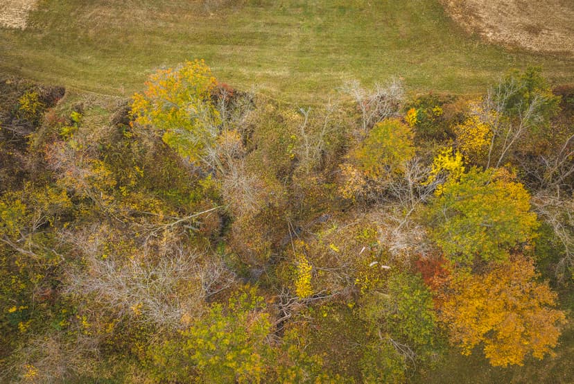 TBD County Road 664, Memphis, MO