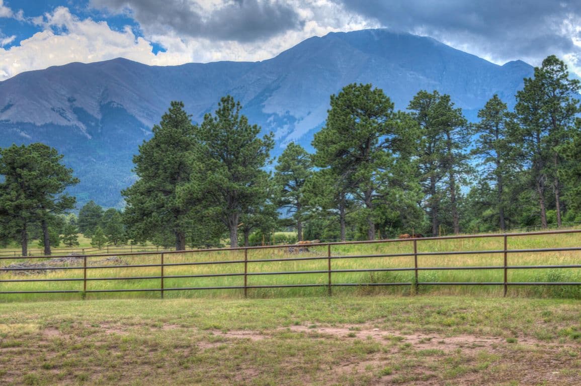 Doubloon Ranch in La Veta, Colorado - photo 29