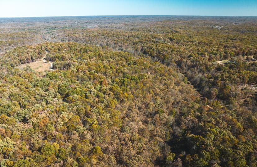 Leaning Tree Rd, Versailles, MO