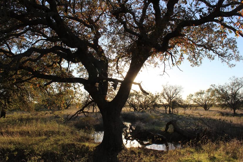 Price reduced Ranch opportunity in Jack County!! Commute to Ft. Worth!