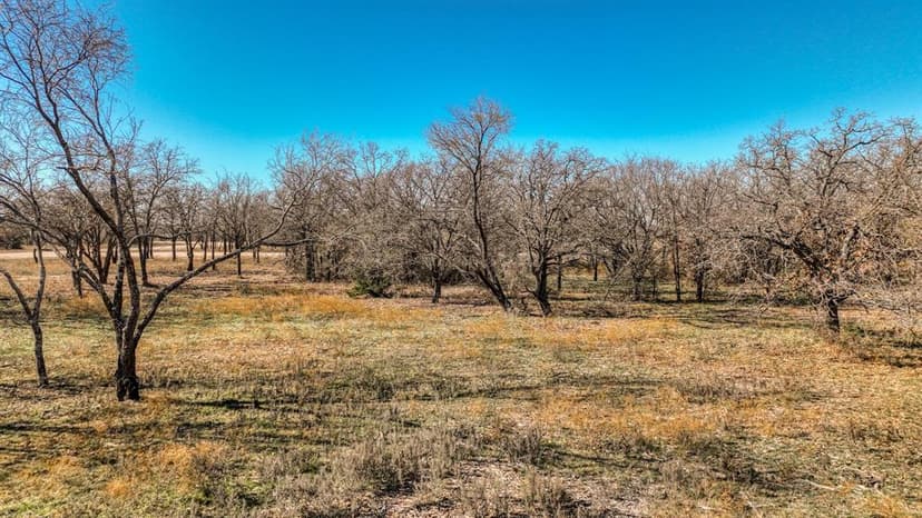 TBD Rambling Road, Perrin, TX, 76486