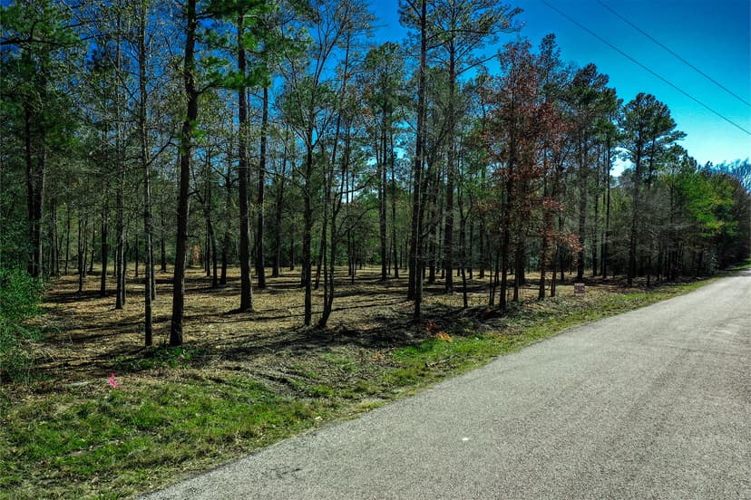 97 Utley Road, Walker County, TX