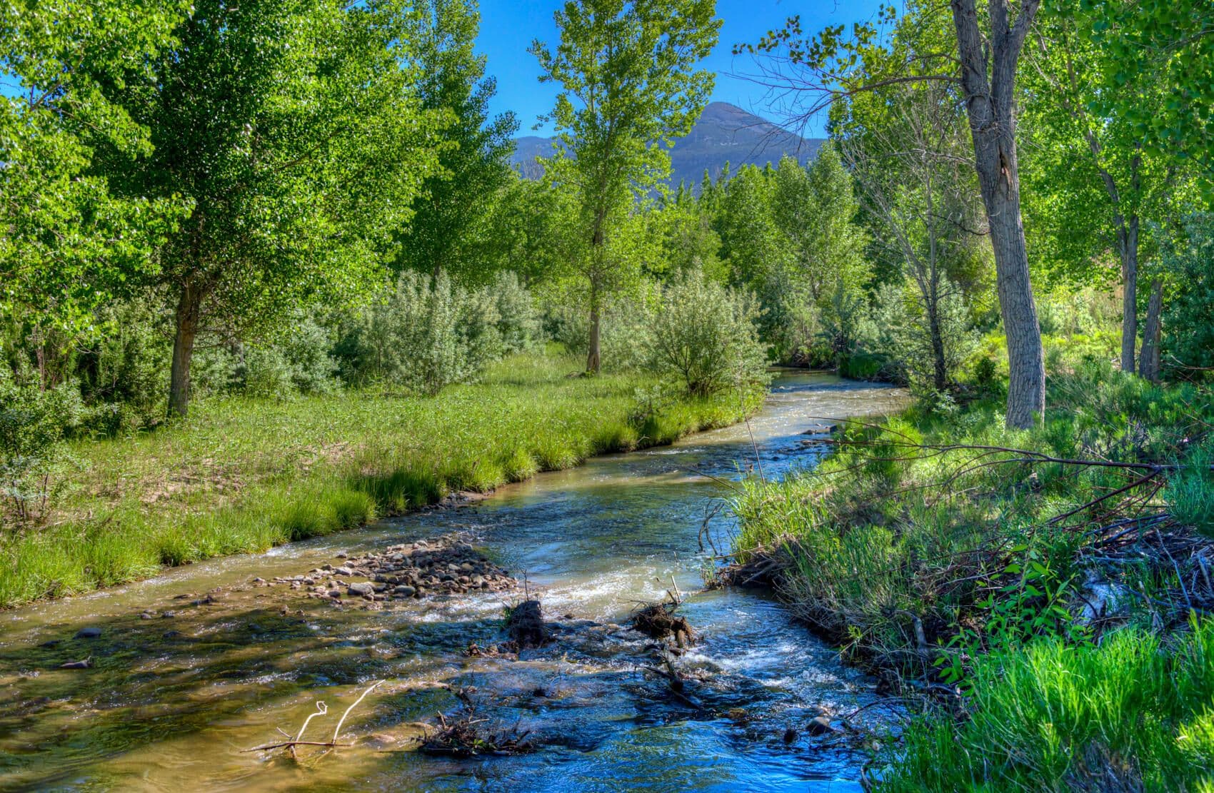 Farisita Ranch, Gardner, Colorado in Gardner, Colorado - photo 52