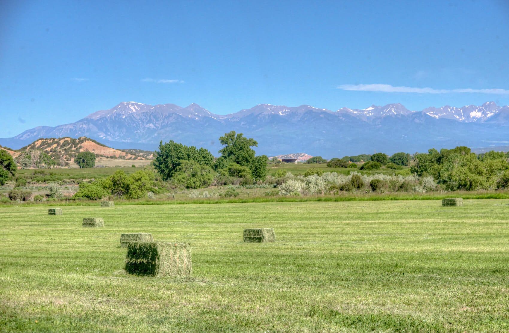 Farisita Ranch, Gardner, Colorado in Gardner, Colorado - photo 5