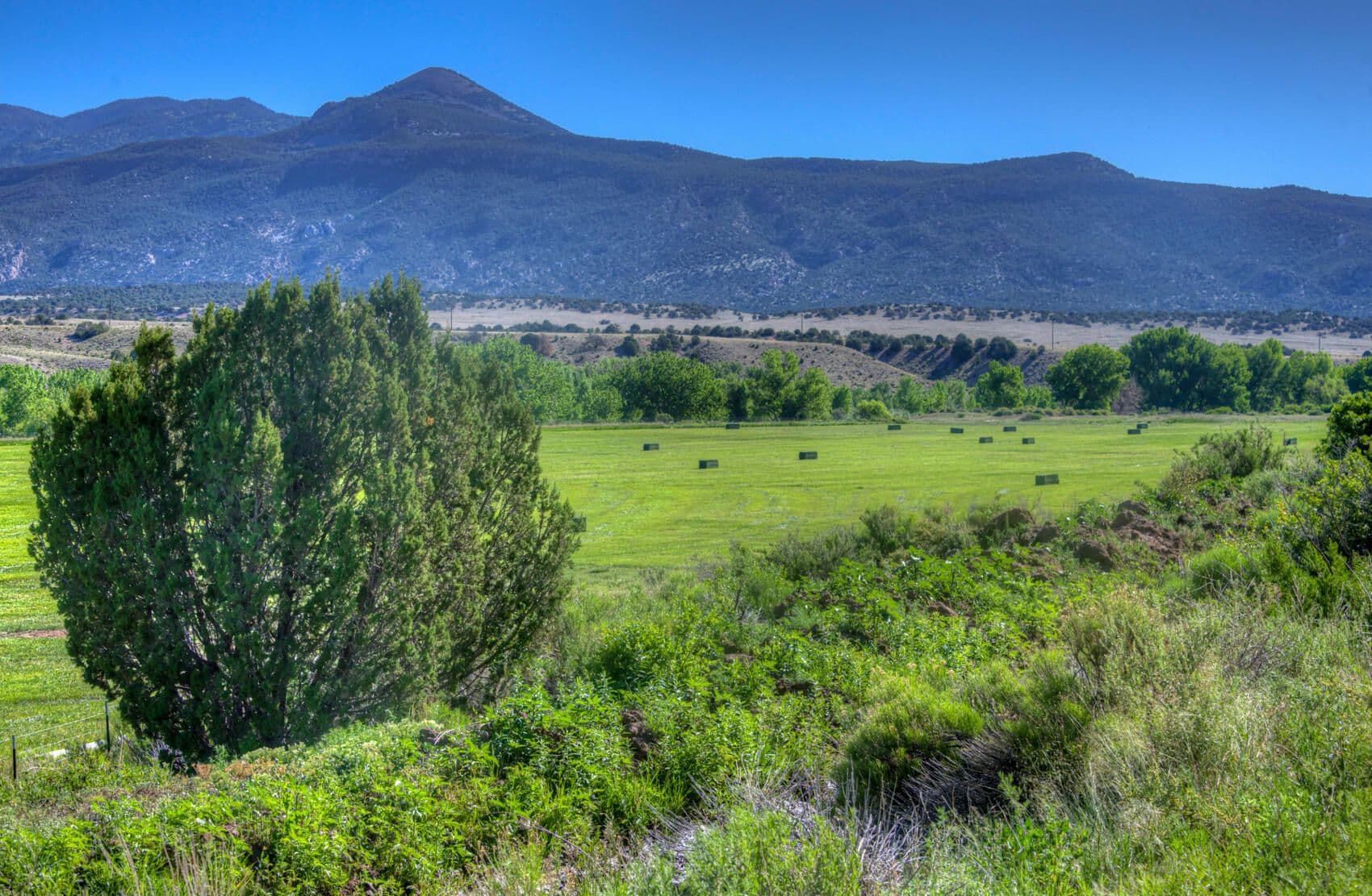 Farisita Ranch, Gardner, Colorado in Gardner, Colorado - photo 54