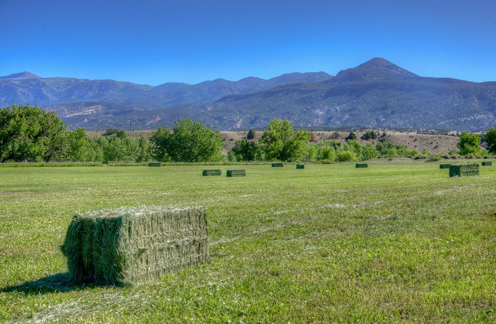 Farisita Ranch, Gardner, Colorado in Gardner, Colorado - photo 53