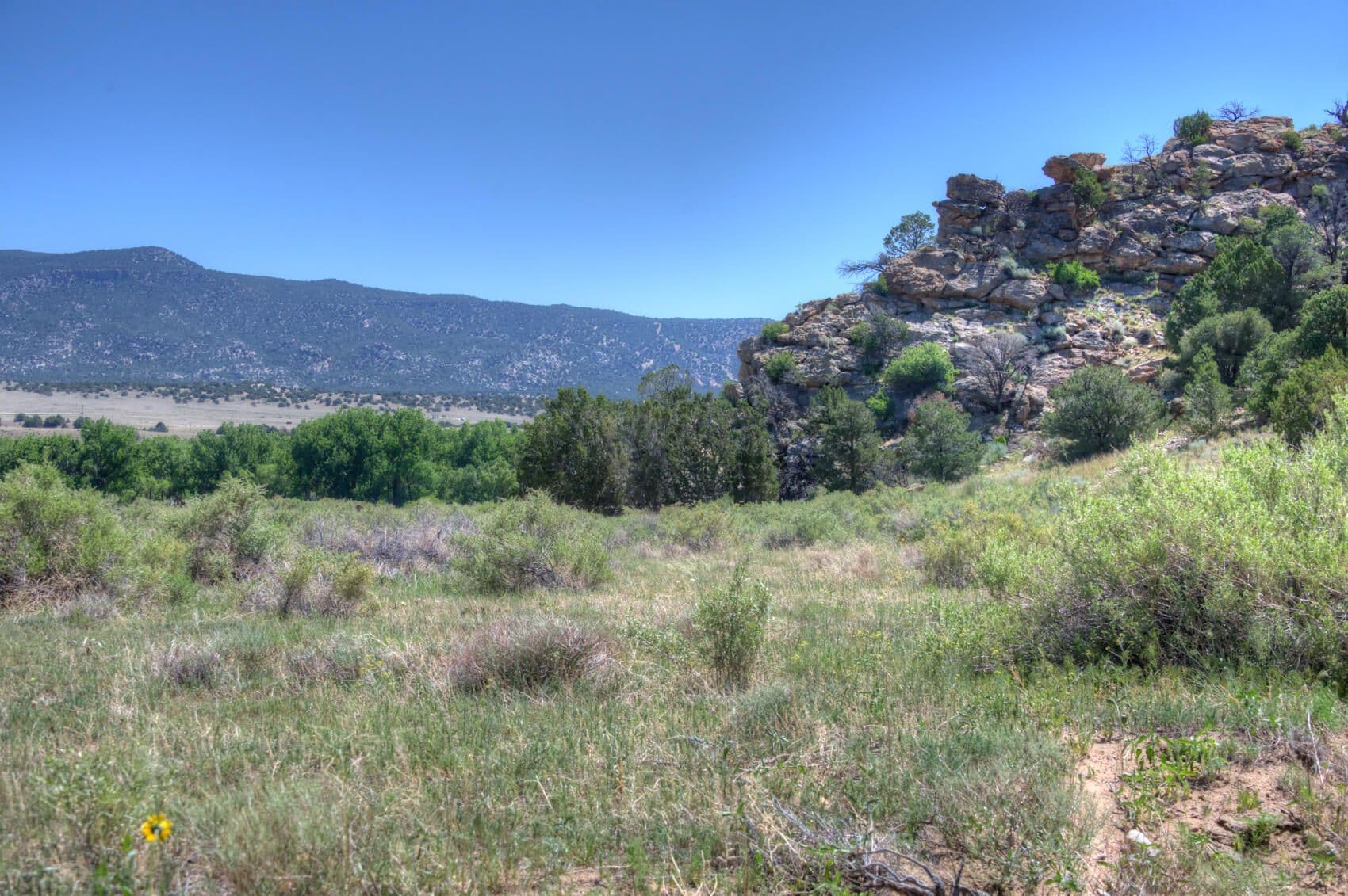 Farisita Ranch, Gardner, Colorado in Gardner, Colorado - photo 50