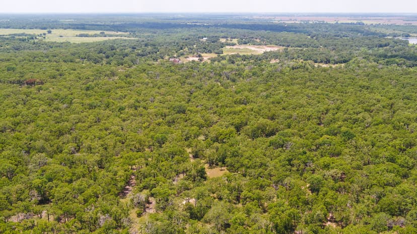 10 Acres in Milam County - Tract 14