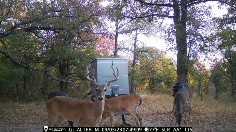 10 Acres in Milam County - Tract 12