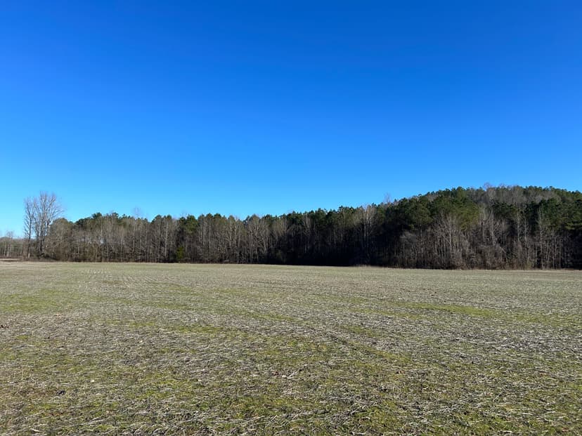 48 Acres in Lafayette County, MS