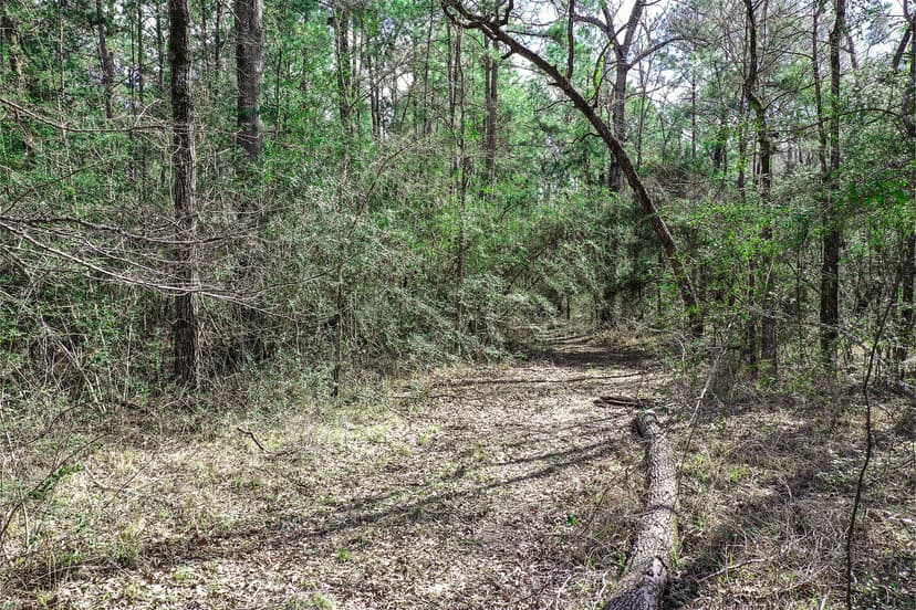 20 Acre FM 980, Huntsville, TX