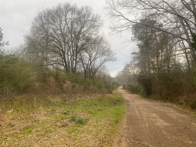2 Rural Acres/ Magnolia Holmesville Rd, Magnolia, Ms 39652