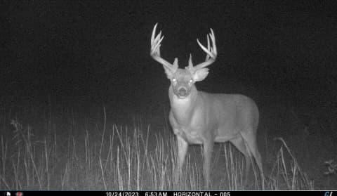 Grundy Whitetails 81