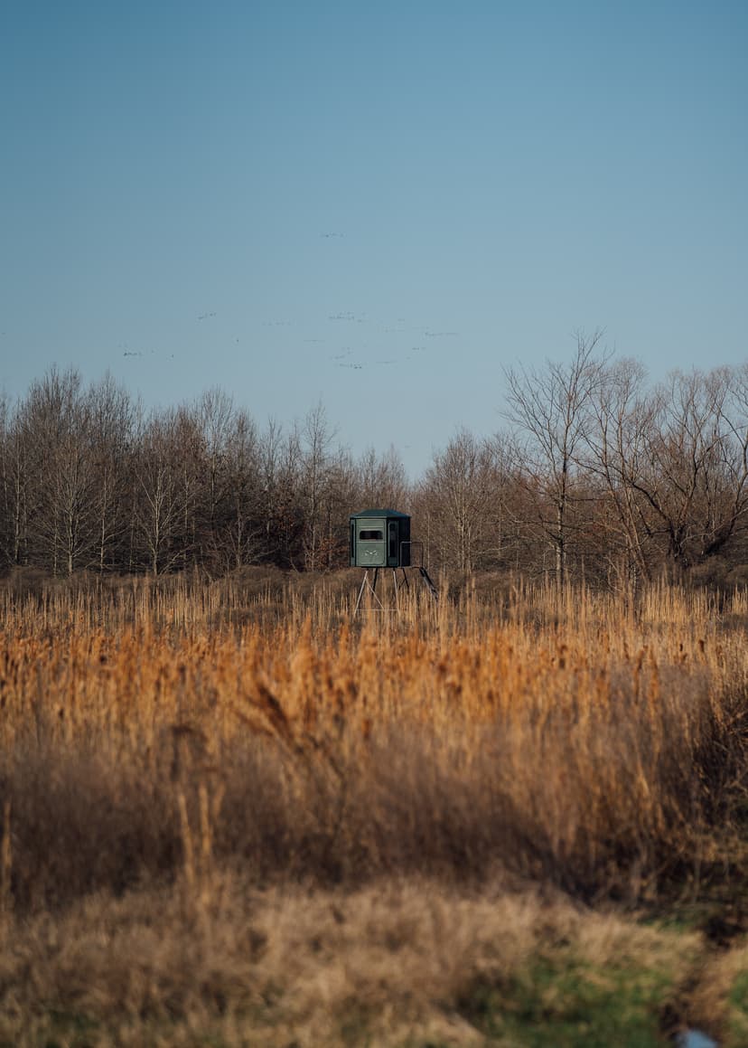 One Equity Share at Lone Cypress, LLC in Tallahatchie County, MS