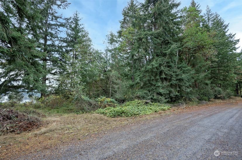 12406 Cole Point Drive, Anderson Island, WA, 98303