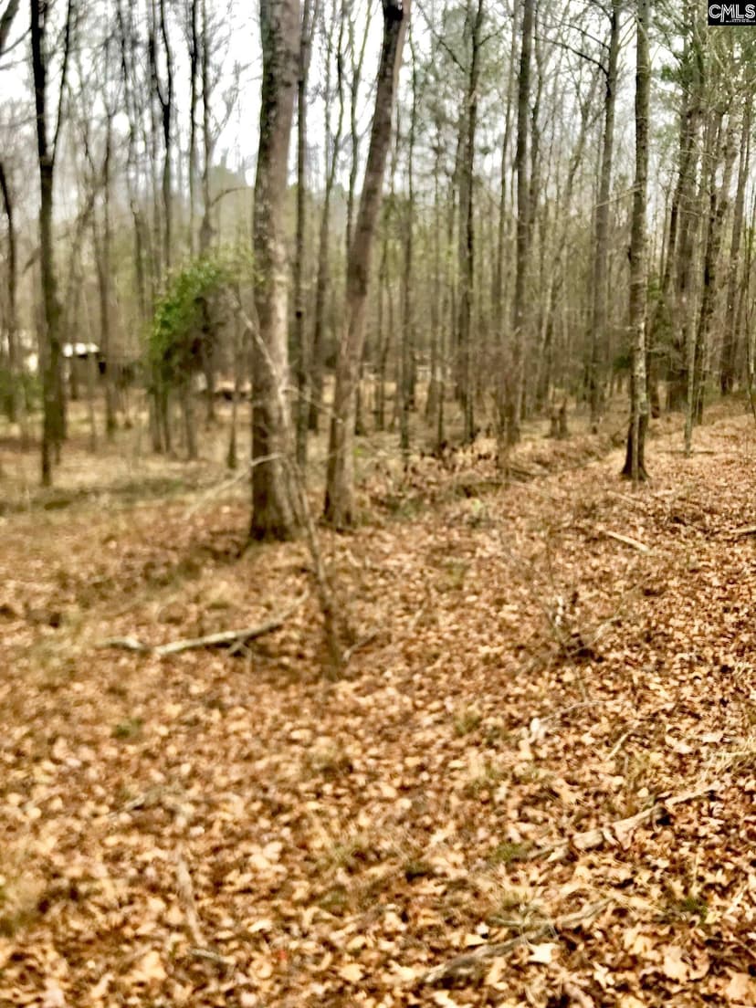 Parcel A Maple Creek Lane