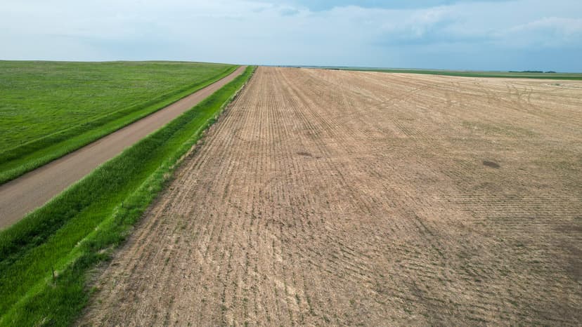 Sully County Farmland