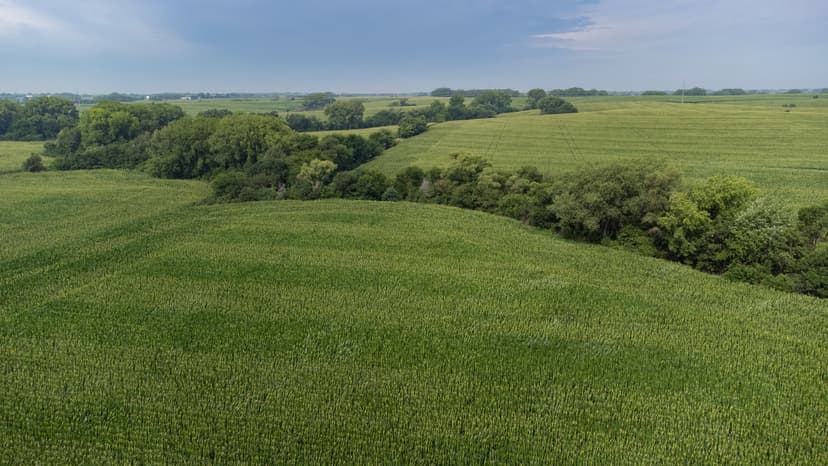 Lincoln, NE Lancaster 40