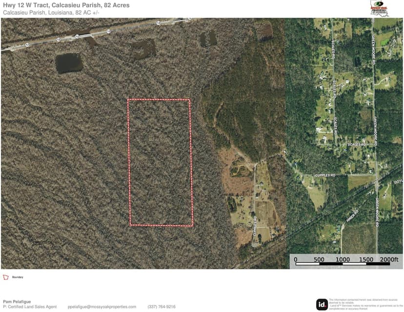 Hwy 12 W Tract, Calcasieu Parish, 82 Acres ≠