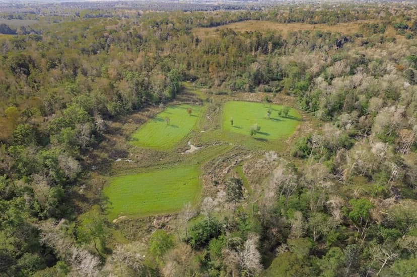 463 Acres Timberland on Tickfaw River St Helena Parish, LA