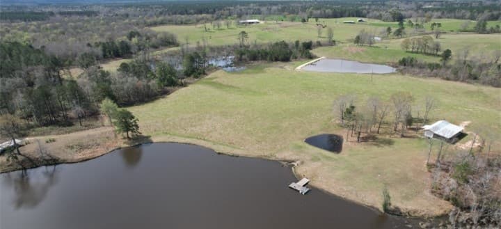 315 Acres in Jasper County in Pachuta, MS