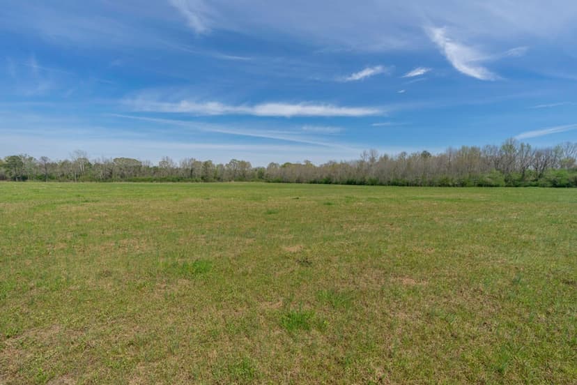 Beautiful 3 Acre Homesite Lot in Greenville! Lot 5