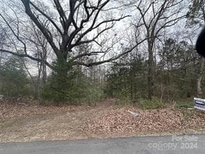 Lots & Land-Other in Pacolet