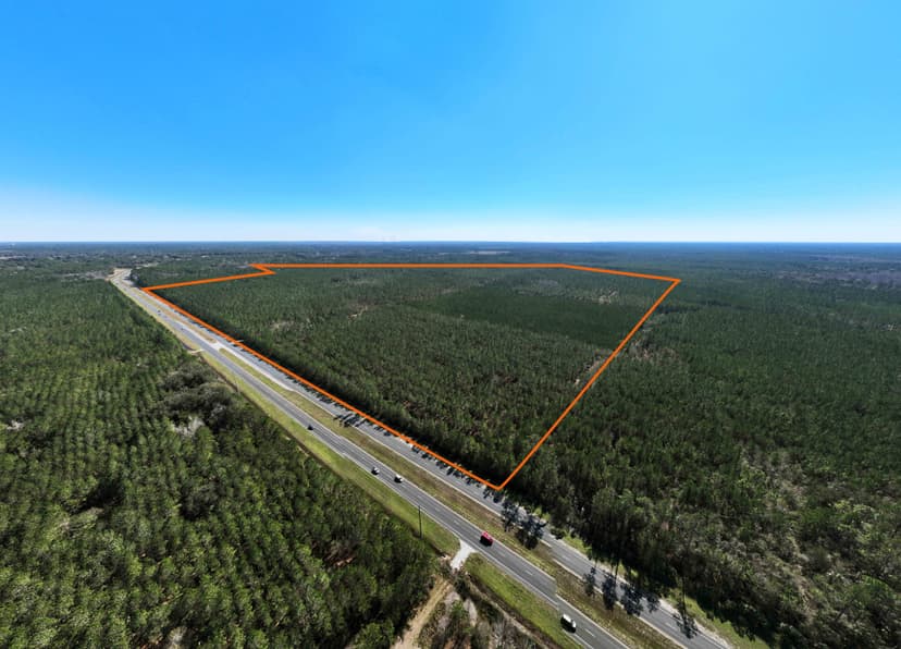 Palatka Transitional Timberland Tract