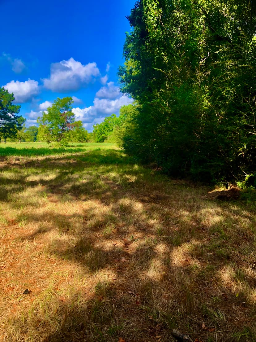 60 Development Acres Cleveland Texas