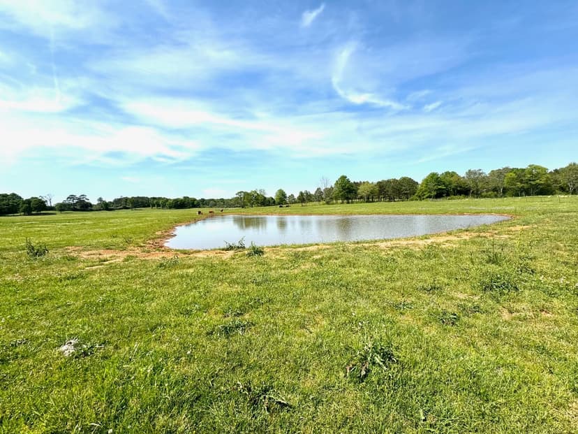 3.3 Acres With a Pond in Greenville