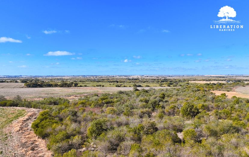 Itasca Tract 5 | 13+ Acres | Only $15K Down