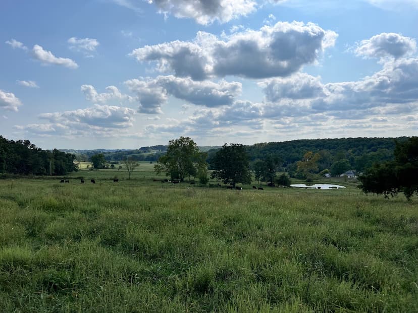 Missouri Ranch for Sale