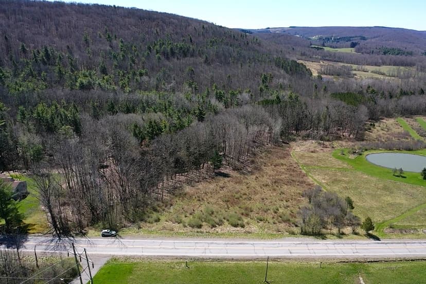10 acres Hunting Land and Recreational Land in Alfred NY Hartsville Hill Road