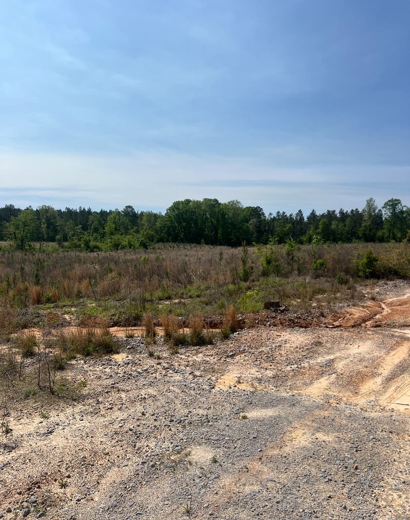 14 Acre Timber Tract with Road Frontage