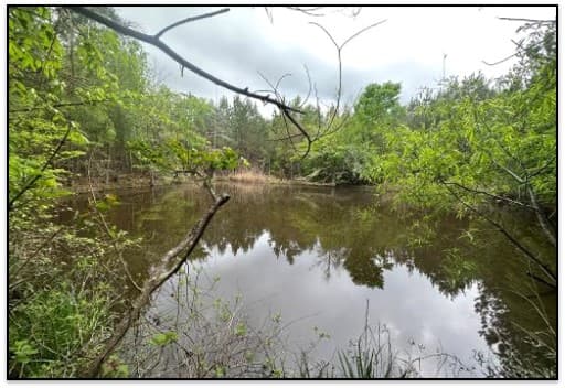 53.2 Acres in Simpson County in Mendenhall, MS