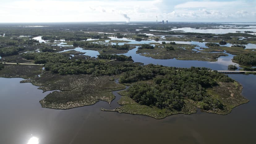 Levy County Islands