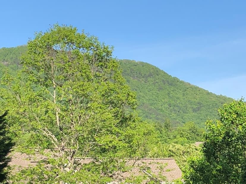 Lot 10 Asheland Cove