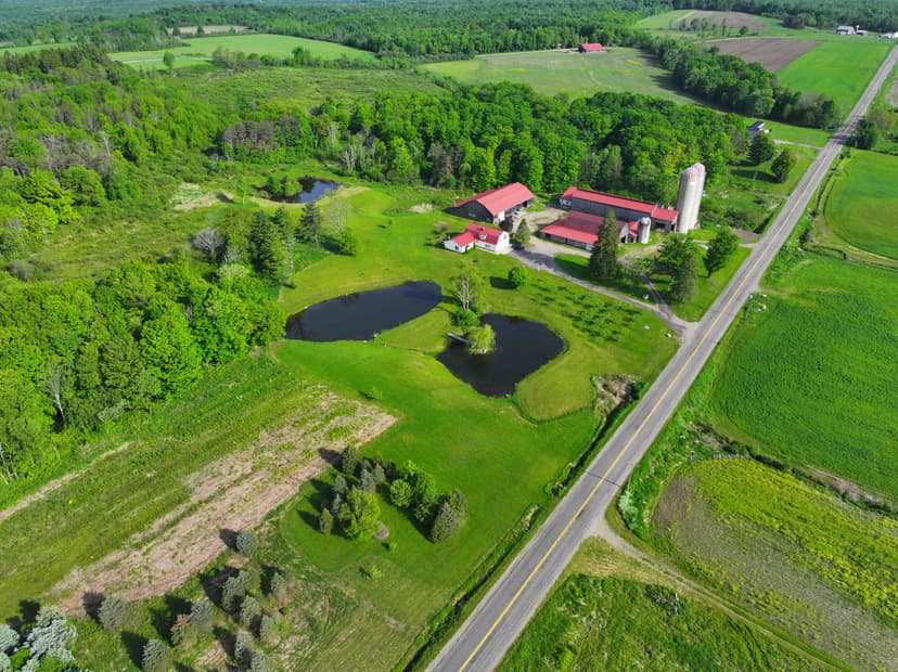 60 acres House, Two Barns, Heated Shop, Ponds, Orchard and FREE GAS in Dewittville NY 7057 Beech Hill Rd
