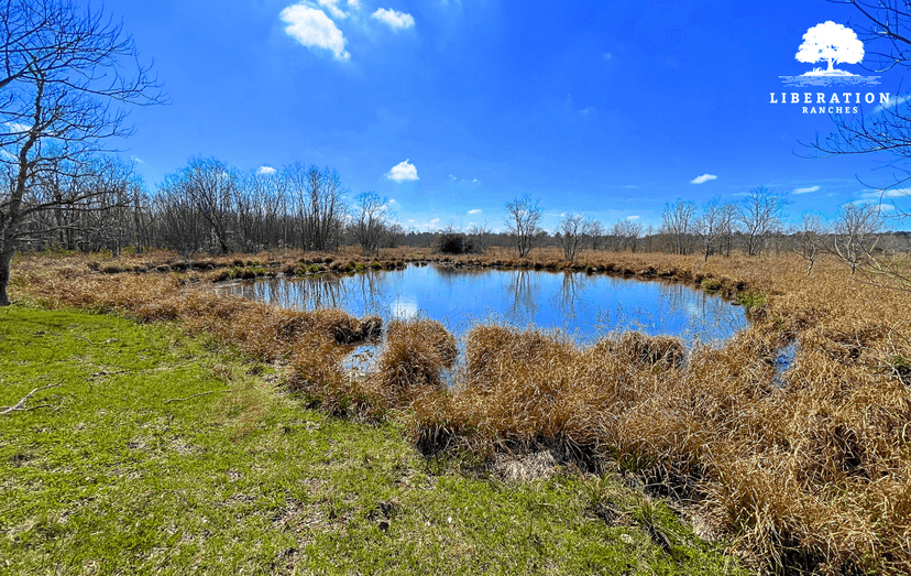 Liberty, TX Tract 2 | 12+ Acres | Only $15K Down