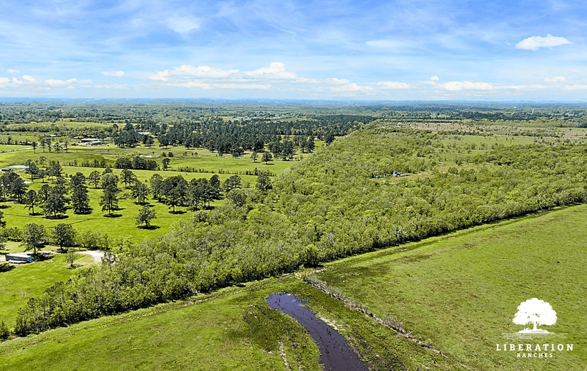 Liberty, TX Tract 6 | 12+ Acres | Only $15K Down