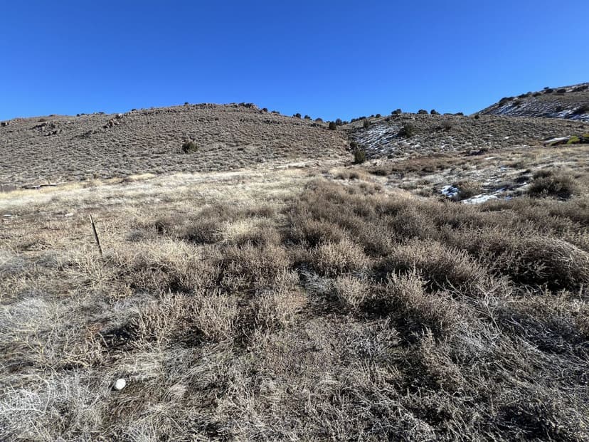 Hamilton Creek Trail