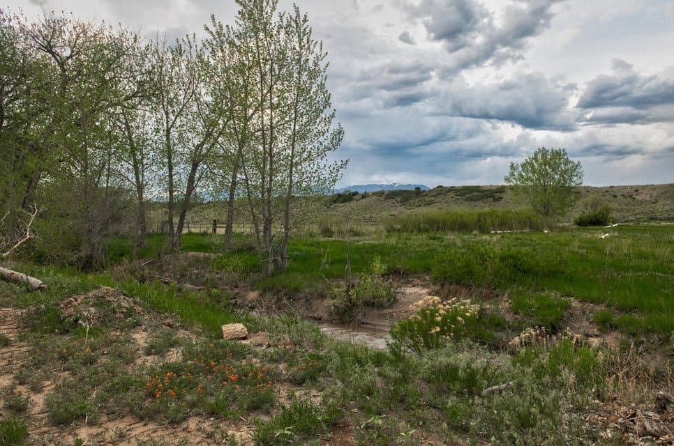 21087 I-25, Rye in Rye, Colorado - photo 38
