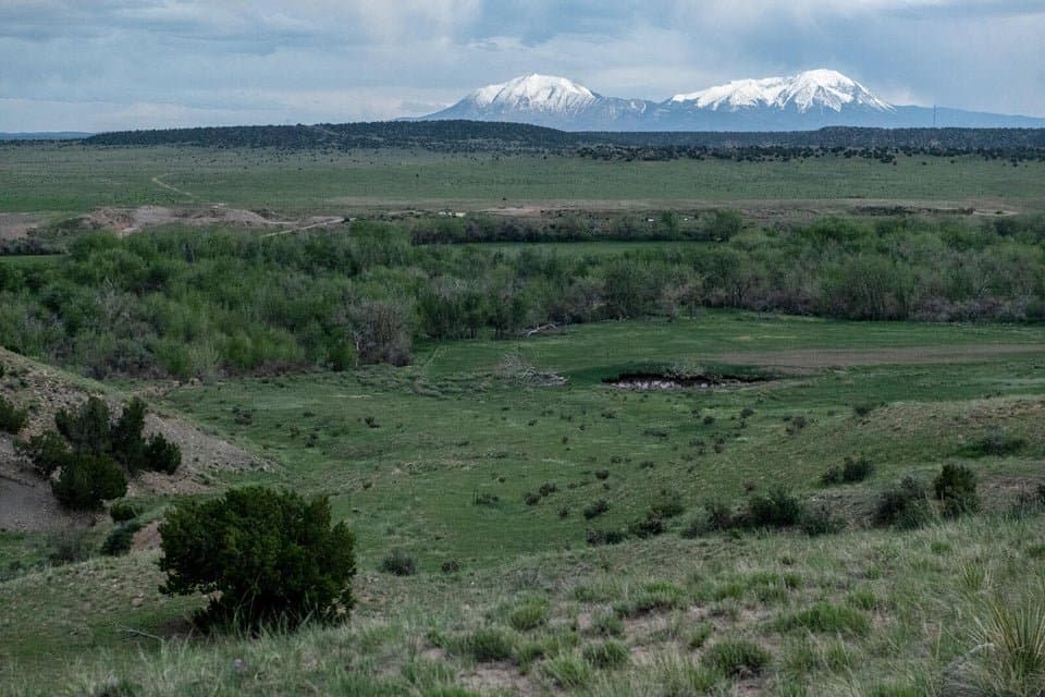 21087 I-25, Rye in Rye, Colorado - photo 24