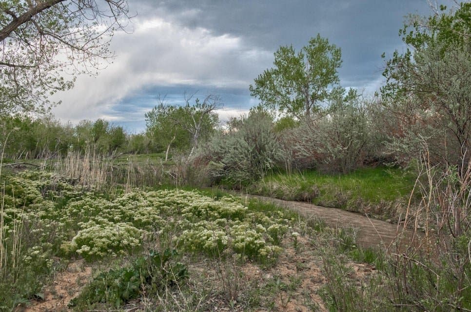 21087 I-25, Rye in Rye, Colorado - photo 41