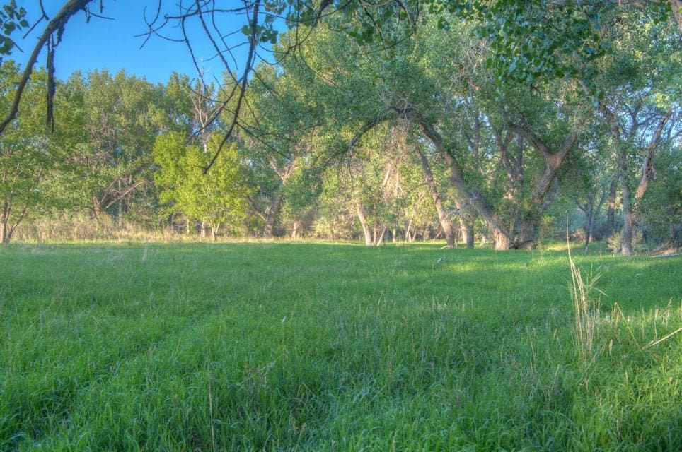 21087 I-25, Rye in Rye, Colorado - photo 5
