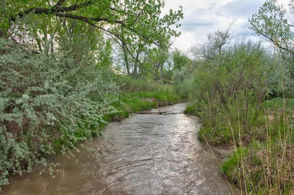 21087 I-25, Rye in Rye, Colorado - photo 48