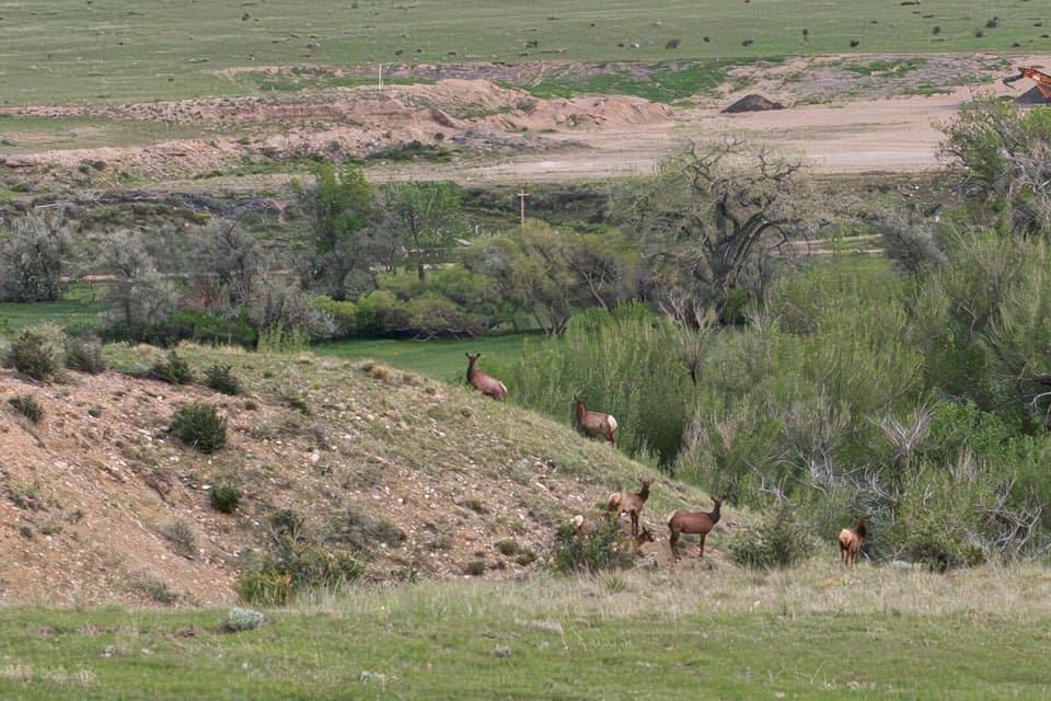 21087 I-25, Rye in Rye, Colorado - photo 14