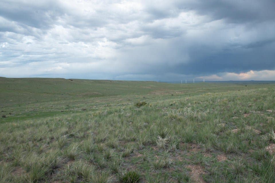 21087 I-25, Rye in Rye, Colorado - photo 23