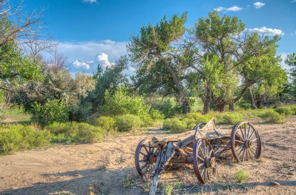 21087 I-25, Rye in Rye, Colorado - photo 16